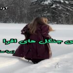 دانلود رمان بوی جنگل های افرا pdf از زیبا سلیمانی