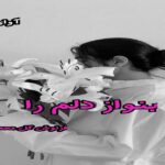 دانلود رمان بنواز دلم را pdf از فرنوش گل محمدی