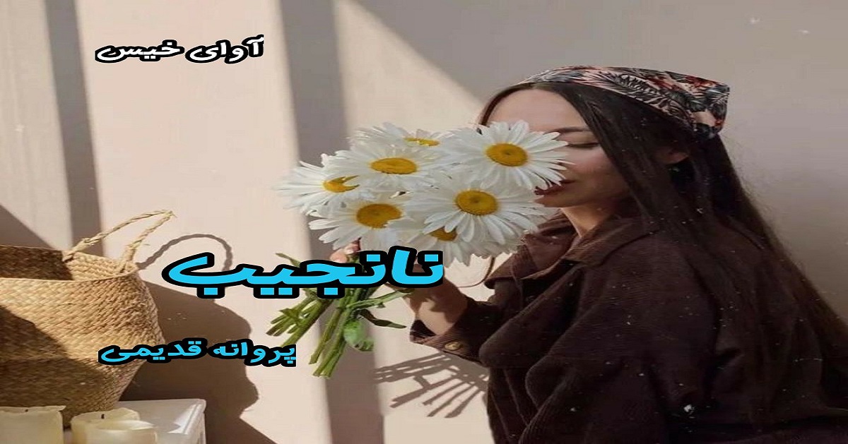 دانلود رمان نانجیب pdf از پروانه قدیمی
