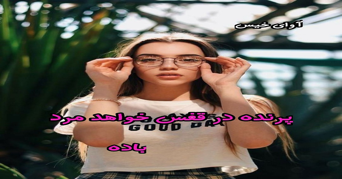 دانلود رمان پرنده در قفس خواهد مرد pdf از باده