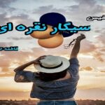 دانلود رمان سیگار نقره ای pdf از فاطمه تابع بردبار دانلود رمان سیگار نقره ای pdf از فاطمه تابع بردبار