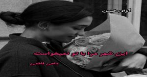 دانلود رمان این شهر مرا با تو نمیخواست pdf از ماهی فاطمی