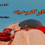 دانلود رمان دارکوب pdf از پاییز دانلود رمان دارکوب pdf از پاییز