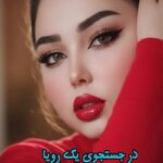 دانلود رمان در جستجوی یک رویا pdf از فیروزه شیرازی 