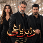 دلبر یاغی دلبر یاغی